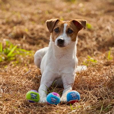 Show full view: Gigwi Dog Tennis Balls, Blue, 1.9-in, 3 count slide 8 of 9