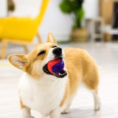 Show full view: Gigwi Dog Balls Interactive Dog Toys, Multi, 2.5-in, 2 count slide 6 of 10