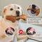 Show in main carousel: Gigwi Wooden Chewy Bone Dog Toy, Beige, Small slide 7 of 9