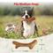 Show in main carousel: Gigwi Wooden Chewy Bone Dog Toy, Beige, Medium slide 3 of 8