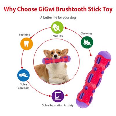 Show full view: Gigwi Toothbrush Stick Dental Chewy Dog Toy, Purple slide 3 of 8