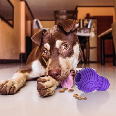 Show full view: Gigwi Bulb Treat Dispensing Dog Toy, Purple, Large slide 8 of 10