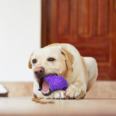 Show full view: Gigwi Bulb Treat Dispensing Dog Toy, Purple, Large slide 7 of 10