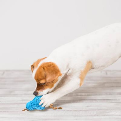 Show full view: Gigwi Bulb Treat Dispensing Dog Toy, Blue, Small slide 9 of 11