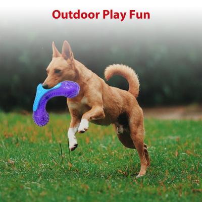 Show full view: Gigwi 3-in-1 Squeak Bone Dog Toy, Purple slide 6 of 7