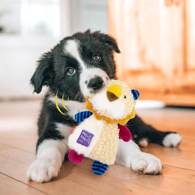 Show full view: Gigwi Crinkle Squeaky Plush Dog Toy, Beige slide 6 of 10