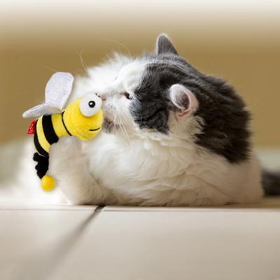 Show full view: Gigwi Vibrating Running Bee Cat Toy slide 5 of 8