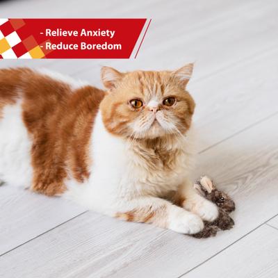 Show full view: Gigwi Rabbit Refillable Catnip & Silvervine Cat Toy, Brown slide 5 of 8