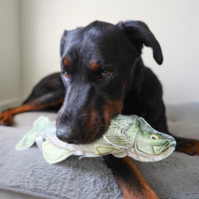 Show full view: SteelDog USA Denim Bass Crinkle Plush Dog Toy slide 2 of 6