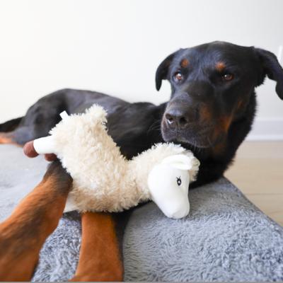 Show full view: SteelDog USA Barnyard Baller Llama Crinkle Plush Dog Toy slide 5 of 6