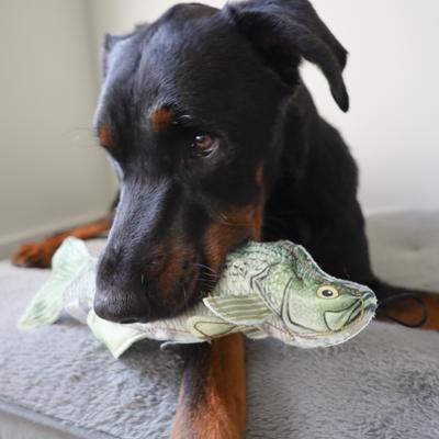 Show full view: SteelDog USA Denim Bass Crinkle Plush Dog Toy slide 4 of 6