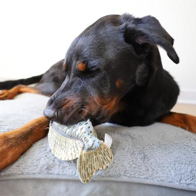 Show full view: SteelDog USA Denim Crappie Crinkle Plush Dog Toy slide 4 of 6