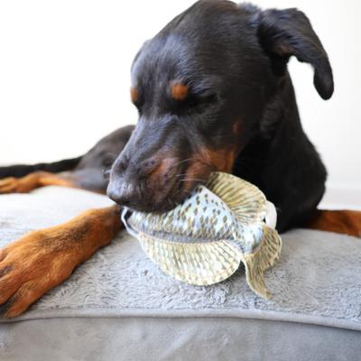 Show full view: SteelDog USA Denim Crappie Crinkle Plush Dog Toy slide 5 of 6