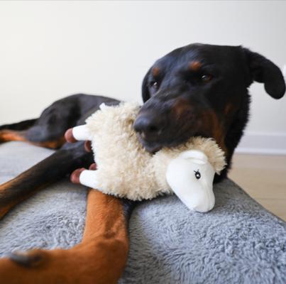 Show full view: SteelDog USA Barnyard Baller Llama Crinkle Plush Dog Toy slide 3 of 6