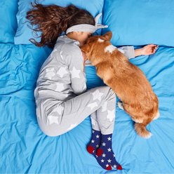 Furry Twinz Stars Christmas Matching Pet & Owner Fun Socks slide 2 of 3