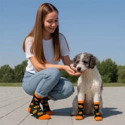 Furry Twinz Pumpkin Christmas Matching Pet & Owner Fun Socks slide 2 of 3