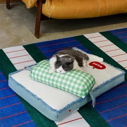 NonoPets Indoor Soft Washable Comfortable Pad Dog & Cat Bed Mat with Removable Pillow, Blue/White/Green, Medium