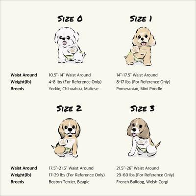 Show full view: WickedPup Male Belly Band Kit Dog Diaper, Size 2: 17.5 to 21.5-in waist, 50 count slide 6 of 13