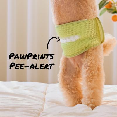 Show full view: WickedPup Male Belly Band Kit Dog Diaper, Size 1: 14 to 17.5-in waist, 50 count slide 2 of 12
