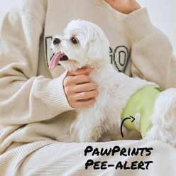 WickedPup Male Belly Band Kit Dog Diaper, Size 0: 10.5 to 14-in waist, 50 count slide 2 of 9