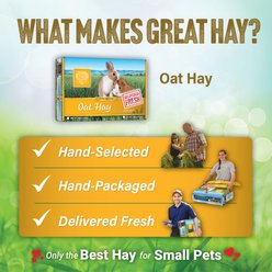 Small Pet Select Oat Hay Rabbit Food, 10-lb box slide 2 of 6