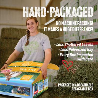 Show full view: Small Pet Select Oat Hay Rabbit Food, 5-lb box slide 3 of 7