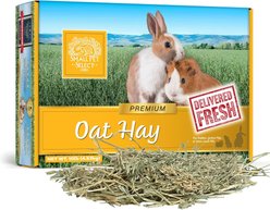 Small Pet Select Oat Hay Rabbit Food, 10-lb box