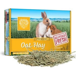 Small Pet Select Oat Hay Small Pet Food, 10-lb box