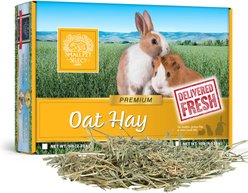 Small Pet Select Oat Hay Rabbit Food, 5-lb box
