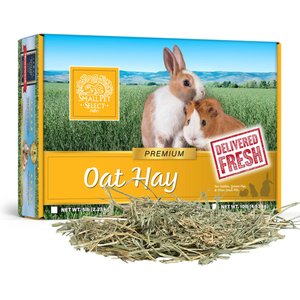 Small Pet Select Oat Hay Small Pet Food, 5-lb box