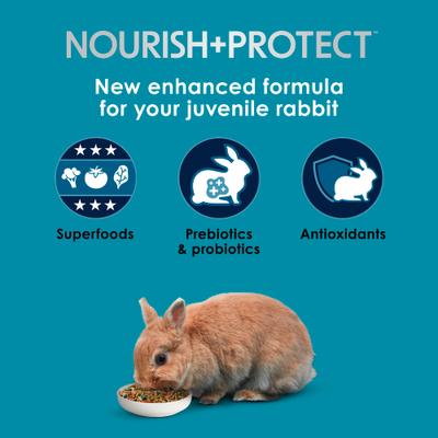 Show full view: Kaytee Forti-Diet Pro Health Nourish+Protect Juvenile Rabbit Food, 3-lb bag slide 3 of 10