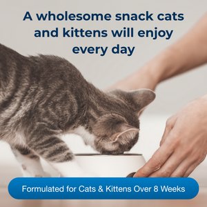 PetAg Cat-Sip Liquid Real Milk Hydration Supplement for Cats, 8-oz can, 4 count
