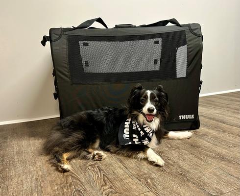 Show full view: Thule Collapsible Soft-Sided Dog Crate, Black slide 8 of 9