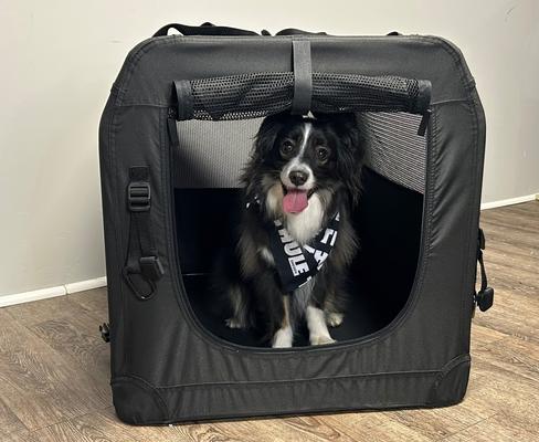 Show full view: Thule Collapsible Soft-Sided Dog Crate, Black slide 9 of 9