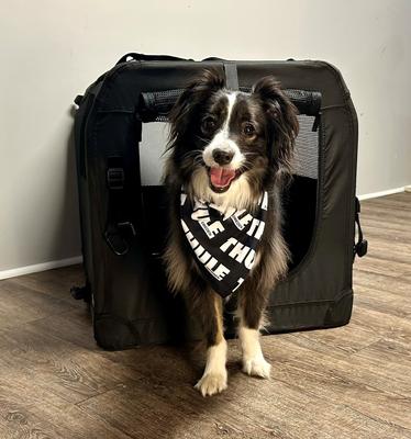 Show full view: Thule Collapsible Soft-Sided Dog Crate, Black slide 5 of 9