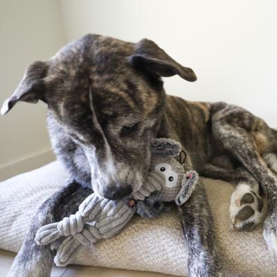 Show full view: SteelDog USA Flat Polka Dot Pal Elephant Squeaky Plush Dog Toy slide 2 of 6