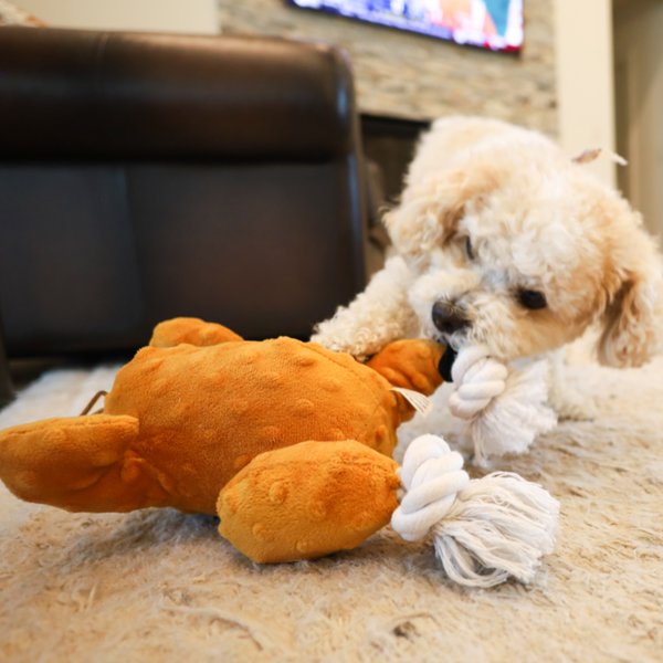 Show full view: SteelDog USA Ropers Turkey Squeaky Plush Dog Toy slide 6 of 7
