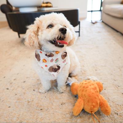 Show full view: SteelDog USA Ropers Turkey Squeaky Plush Dog Toy slide 5 of 7