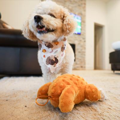 Show full view: SteelDog USA Ropers Turkey Squeaky Plush Dog Toy slide 2 of 7