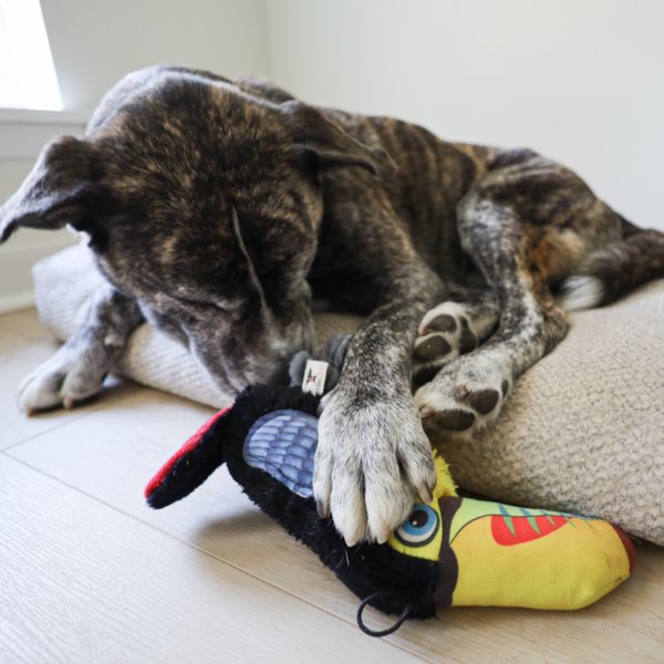 Show full view: SteelDog USA Ruffian Bird Toucan Squeaky Plush Dog Toy slide 2 of 6