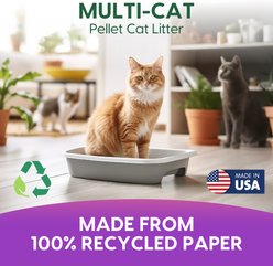 Fresh News Non-Clumping Scented Paper Cat Litter, 25-lb bag slide 2 of 8