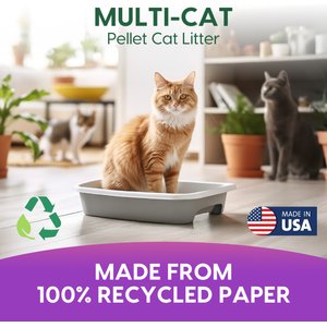 Fresh News Non-Clumping Scented Paper Cat Litter, 25-lb bag