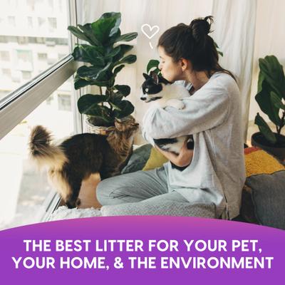 Show full view: Fresh News Non-Clumping Scented Paper Cat Litter, 25-lb bag slide 9 of 10