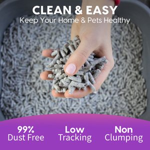 Fresh News Non-Clumping Scented Paper Cat Litter, 25-lb bag