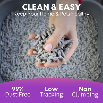 Show full view: Fresh News Non-Clumping Scented Paper Cat Litter, 25-lb bag slide 6 of 10