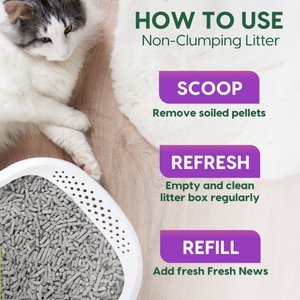Fresh News Non-Clumping Scented Paper Cat Litter, 25-lb bag