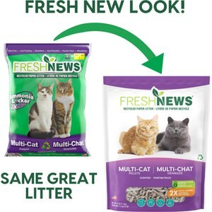 Fresh News Non-Clumping Scented Paper Cat Litter, 25-lb bag