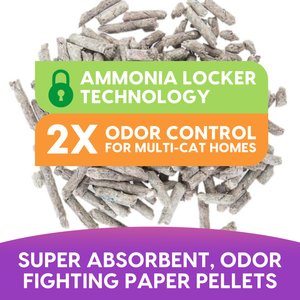 Fresh News Non-Clumping Scented Paper Cat Litter, 25-lb bag