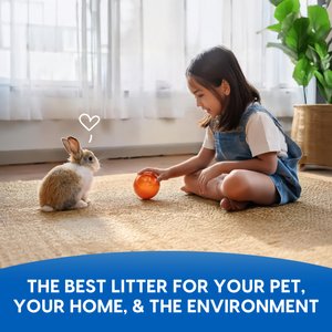 Fresh News Recycled Paper Small Animal Litter, 20-L