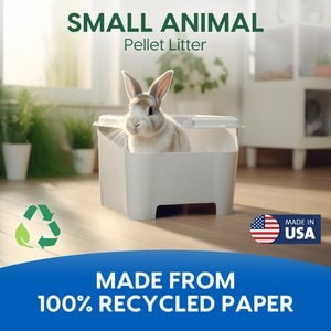 Fresh News Recycled Paper Small Animal Litter, 10-L
